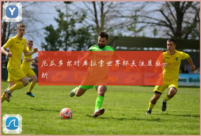 厄瓜多尔对库拉索世界杯关注度分析