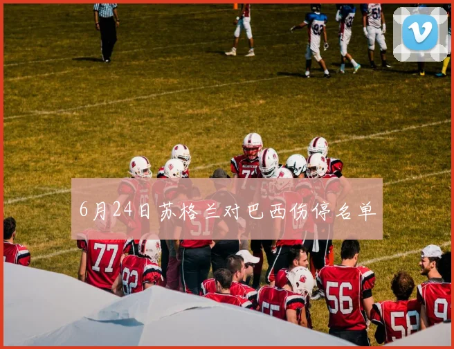 6月24日苏格兰对巴西伤停名单