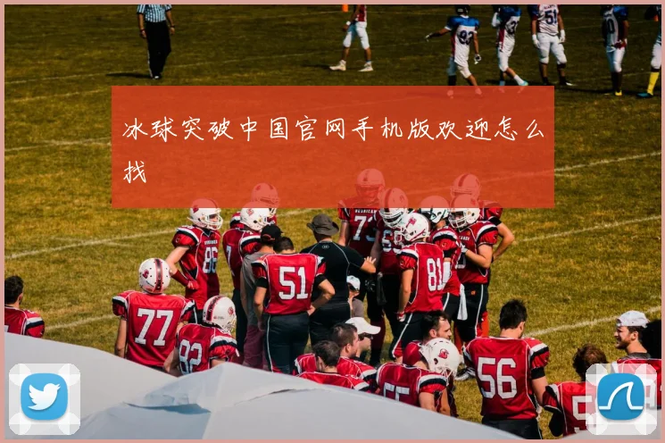 冰球突破中国官网手机版欢迎怎么找