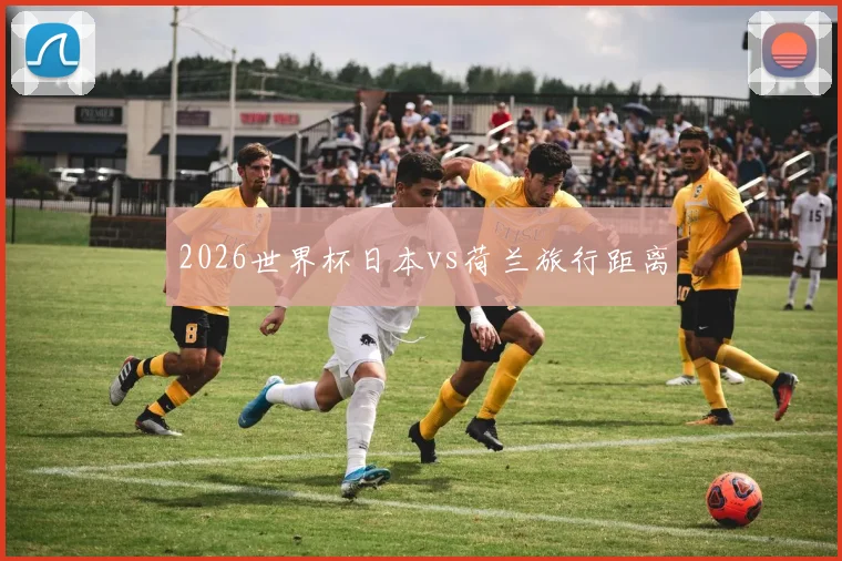 2026世界杯日本vs荷兰旅行距离