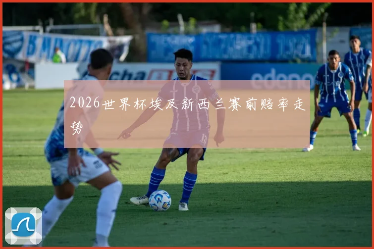 2026世界杯埃及新西兰赛前赔率走势