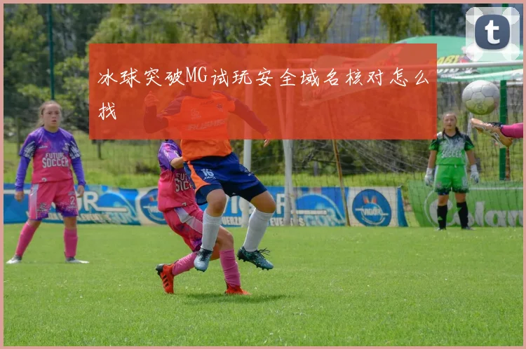 冰球突破MG试玩安全域名核对怎么找